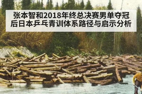 张本智和2018年终总决赛男单夺冠后日本乒乓青训体系路径与启示分析